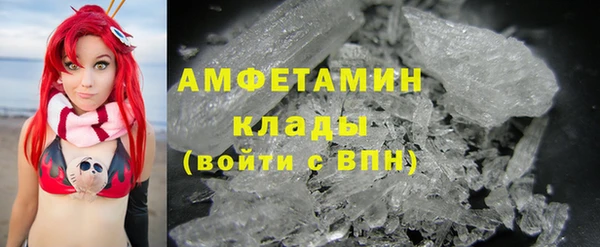 СК Гатчина