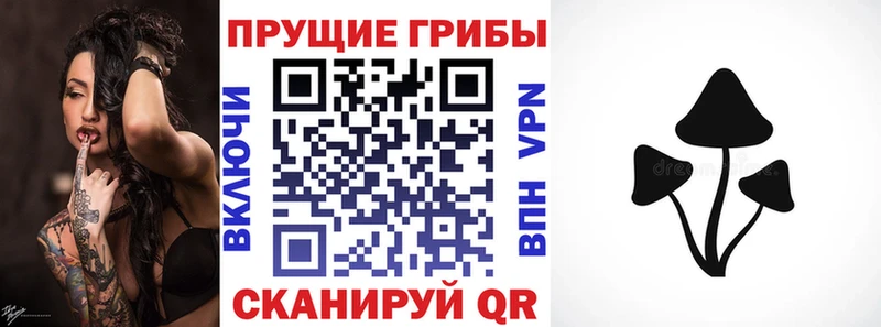Галлюциногенные грибы Cubensis  магазин продажи наркотиков  Киренск 